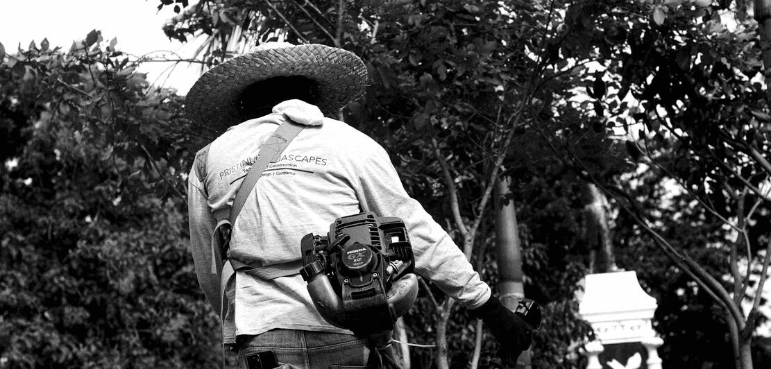 Sony x Camerahaus Photowalk